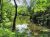 Magnolia Cemetery - Neches River