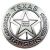 Texas Ranger Badge